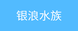 橡膠數(shù)控切條機